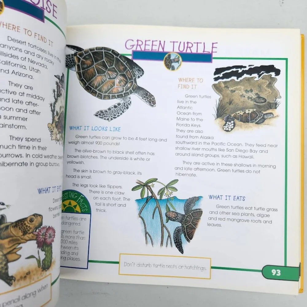 More Fun With Nature Take Along Guides Field Guide Hardcover Book Activity Craft